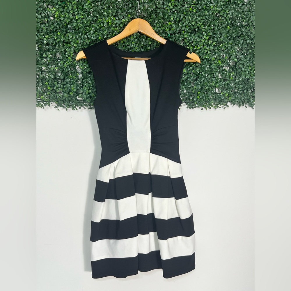 Eva Franco Black White Striped Dress
